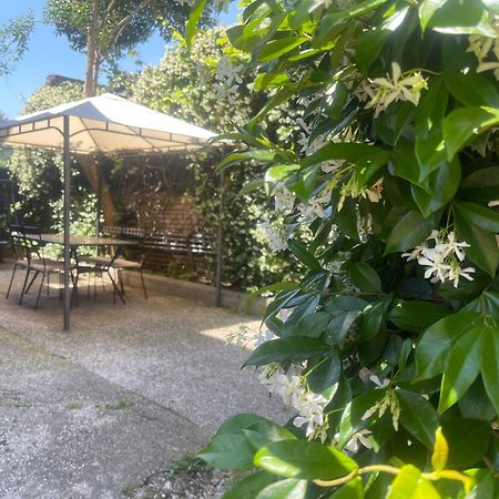 Appia Park Apartament 10 Min Dal Colosseo 罗马 外观 照片